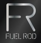 FR FUEL ROD