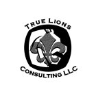 TRUE LIONS CONSULTING LLC