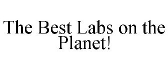 THE BEST LABS ON THE PLANET!