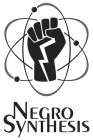 NEGRO SYNTHESIS