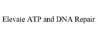 ELEVATE ATP AND DNA REPAIR