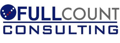 FULL COUNT CONSULTING