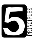 5 PRINCIPLES