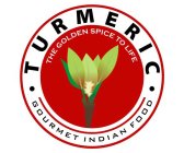 TURMERIC THE GOLDEN SPICE TO LIFE GOURMET INDIAN FOOD