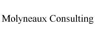MOLYNEAUX CONSULTING