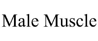 MALE MUSCLE