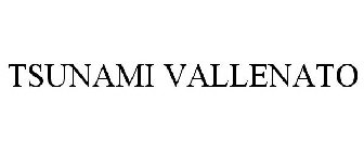 TSUNAMI VALLENATO