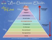 THE LOVE CONSCIOUSNESS ELEVATOR LOVE  LOVE, AND BEING LOVED INTERNAL POWER & CONTROL BLISSY CONTENT PISSY EXTERNAL POWER & CONTROLAPPRECIATION SUPPORT AWARENESS GRATITUDE ACCEPTANCE COMPLAINT CRITICIS