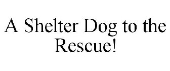 A SHELTER DOG TO THE RESCUE!