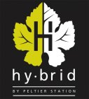 H HY BRID BY PELTIER STATION