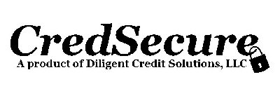 CREDSECURE A PRODUCT OF DILIGENT CREDITSOLUTIONS, LLC