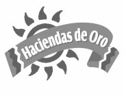 HACIENDAS DE ORO