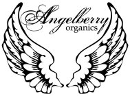 ANGELBERRY ORGANICS