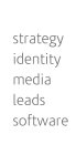 STRATEGY IDENTITY MEDIA LEADS SOFTWARE