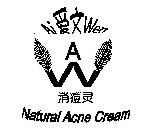 AI WEN A W NATURAL ACNE CREAM