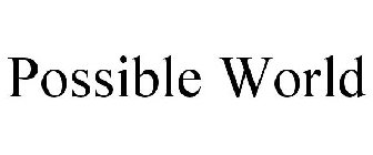 POSSIBLE WORLD