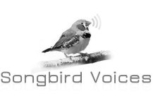 SONGBIRD VOICES