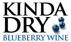KINDA DRY BLUEBERRY WINE