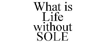 WHAT IS LIFE WITHOUT SOLE