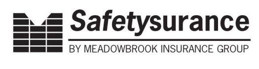 M SAFETYSURANCE BY MEADOWBROOK INSURANCE GROUP