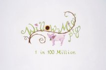 WILLOW-MIA PIG 1 IN 100 MILLION