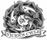 VICIOUS CYCLE