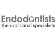 ENDODONTISTS THE ROOT CANAL SPECIALISTS