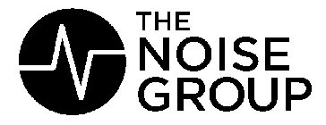 N THE NOISE GROUP