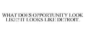 WHAT DOES OPPORTUNITY LOOK LIKE? IT LOOKS LIKE DETROIT.