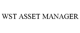 WST ASSET MANAGER