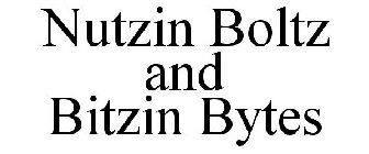 NUTZIN BOLTZ AND BITZIN BYTES