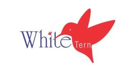 WHITE TERN