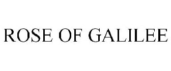 ROSE OF GALILEE