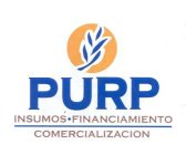 PURP INSUMOS · FINANCIAMENTO COMERCIALIZACION