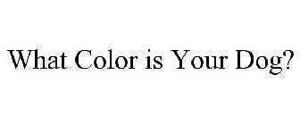 WHAT COLOR IS YOUR DOG?