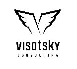 VISOTSKY CONSULTING