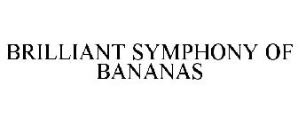 BRILLIANT SYMPHONY OF BANANAS