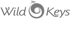 WILD KEYS