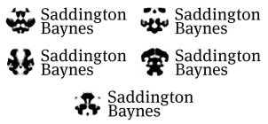 SADDINGTON BAYNES