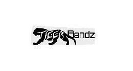 TIGER BANDZ