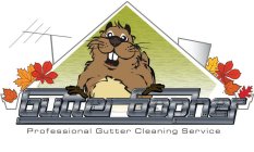 GUTTER GOPHER PROFESSIONAL CLEANING SERVICE