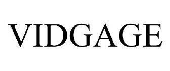 VIDGAGE