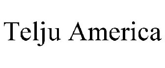 TELJU AMERICA