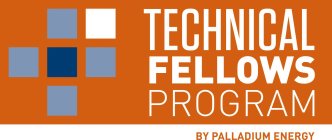 TECHNICAL FELLOWS PROGRAM BY PALLADIUM E