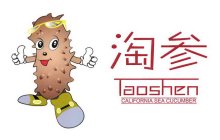 TAOSHEN CALIFORNIA SEA CUCUMBER