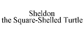 SHELDON THE SQUARE-SHELLED TURTLE