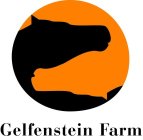 GELFENSTEIN FARM
