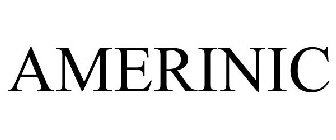 AMERINIC