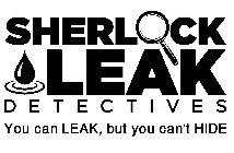 SHERLOCK LEAK DETECTIVES YOU CAN LEAK, BUT YOU CAN'T HIDE