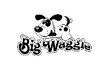 BIG WAGGLE